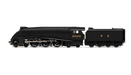 Hornby R30124 R30124 LNER, W1 Class, 'Hush Hush' Streamlined, 4-6-4, 10000 - Era 4