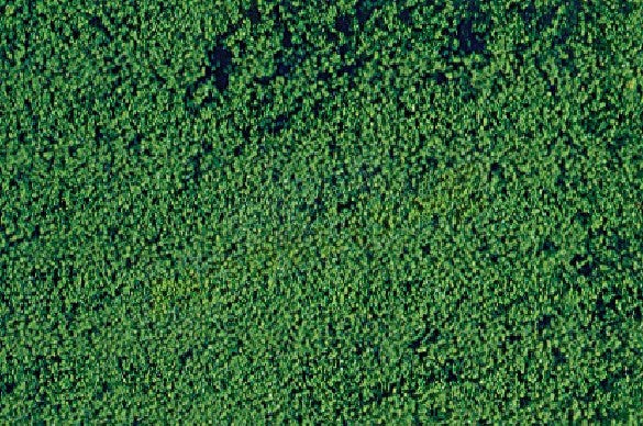 HEKI 1602 Micro Foam Net - Dark Green