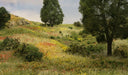 WOODLAND SCENICS T48 Flowers in 4 Colors