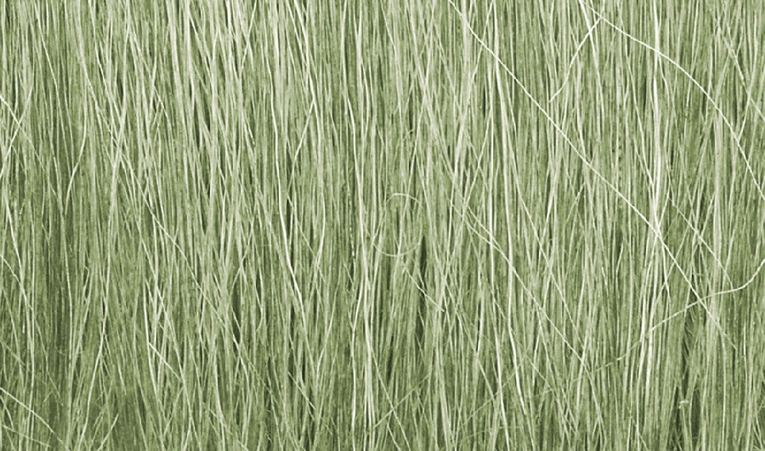 WOODLAND SCENICS FG173 Field Grass Light Green (8g)