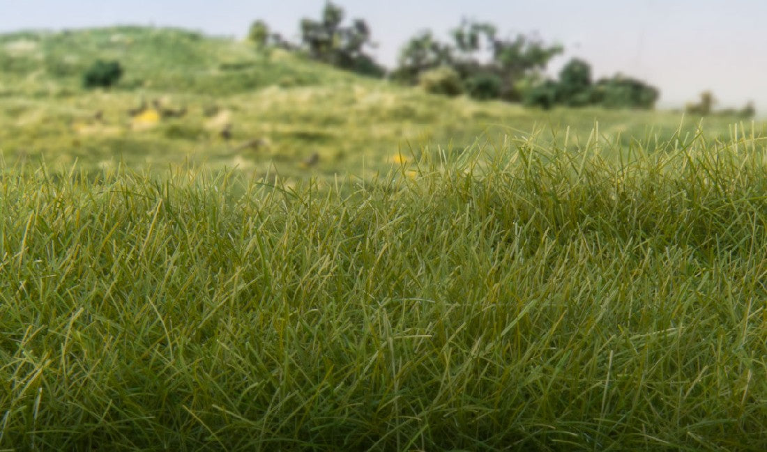 WOODLAND SCENICS FS613 2mm Static Grass Dark Green (70g)