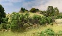 WOODLAND SCENICS FS638 Briar Patch Medium Green (347cm2)