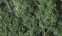 WOODLAND SCENICS F1130 Fine-Leaf Foliage Dark Green